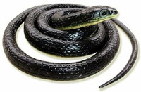 BBS DEAL ( pack of 1 ) 28 inches snakes wild toys rubber .multiclor snack Gag Toy(Multicolor)