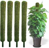 VirajSanchi Nursery Moss Grass Stick Climbing Money Plant, Indoor Plants 2feet (set of 4) Garden Mulch(green 0.5 kg)
