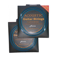 Hertz Acoustic 2 PCS COMBO HZA Guitar String(6 Strings)