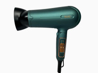 WAHL Rapid Air 2200 W Hair Dryer(2200 W, Green)