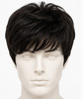 THEYD BRAND Short Hair Wig(Men)