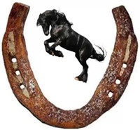Berua Horse Shoe Ring