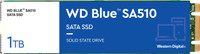 WESTERN DIGITAL WD Blue M.2 1 TB Desktop, Laptop Internal Solid State Drive (SSD) (WDS100T3B0B)(Interface: M.2, Form Factor: M.2)