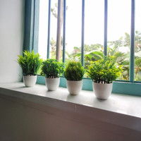 Ryme Small Size Pack Of 4 Bonsai Wild Artificial Plant  with Pot(11 cm, Green)