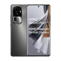 OPPO Reno10 Pro+ 5G (Silvery Grey, 256 GB)(12 GB RAM)