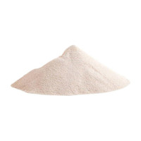 R H lifestyle Absorber Packets Moisture Absorber(0.5)