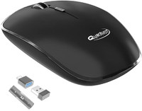 QUANTUM QHM260 Ambidextrous Optical Mouse(2.4GHz Wireless, Black)