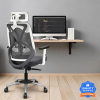 IAFA Ergolux High Back Ergonomic Office Chair with Heavy Duty Metal Base Mesh Office Adjustable Arm Chair(White Grey, Optional Installation Available)
