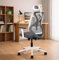 IAFA Ergolux High Back Ergonomic Office Chair With Nylon Base Mesh Office Adjustable Arm Chair(White, Grey, Optional Installation Available)