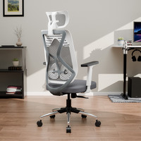 GREEN SOUL Zodiac Lite High Back Ergonomic Chair|Home, Office, WFH|1D Armrest|Premium Mesh Office Adjustable Arm Chair(Grey, Optional Installation Available)