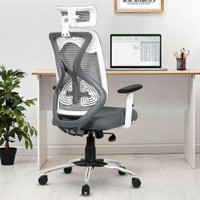Da URBAN Merlion Grey-Z High Back Ergonomic Mesh Office Chair Mesh Office Executive Chair(Grey, Optional Installation Available)
