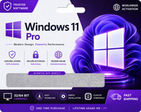 Gamework Win11Pro-ACTCARD53 Standard Edition x32 x64 Operating System License