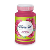 Fevicryl Acrylic Colour 500 ml Paint, DIY Art & Craft(Set of 1, Neon Pink)