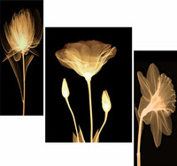 WALLMAX Set of 3 Flower Home Decorated Gift Item UV Textured Digital Reprint 18 inch x 12 inch Painting(With Frame, Pack of 3)