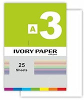 SKYGOLD 210 GSM A3 SIZE 25 SHEETS PLAIN WHITE IVORY PAPER SHEETS FOR ARTISTS UNRULED A3 210 gsm Drawing Paper(Set of 1, White)