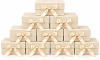 trinay Solid Party Box(Beige, Pack of 10)