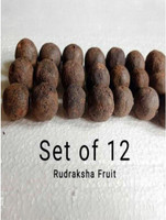 SARVAKSHMALA Authentic Rudraksha Fruit Combo – 12 Pieces Wood Pendant