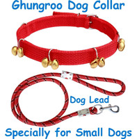BODY BUILDING Dog Belt Combo of Red Ghungroo Collar with Red Leash Specially for Small Breed Dog Collar & Leash(Small, Red)