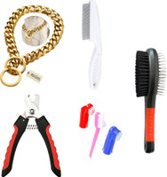 Regiis Brass chain+Double side brush+Flea comb+Nail clipper+Tooth brush(Box of 5) Dog Everyday Collar(Medium, Multicolor)