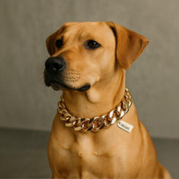 Regiis Premium Luxe Link Chain Collar, improved lock and never turns black Dog Choke Chain Collar(Large, Rose Gold)