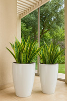 SAROJTRADERS Tower pot 14 inches white Plant Container Set(Pack of 2, Plastic)