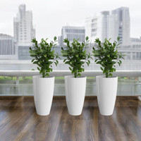 LIGOSIA Plastic Tower Pot 14 Inch Plant Container Set(Pack of 3, Plastic)