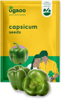 UGAOO Capsicum Vegetable Seed(50 per packet)
