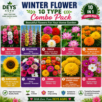 DEYS AGRO flower seeds for winter 10 varieties Seed(1012 per packet)