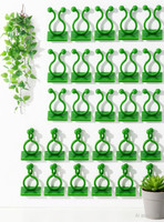 Padchaaya 30Pcs Plant Climbing Wall Clip, Reusable Plant Support Clips, Money Wall Vines Plant Straightener(Pack of 30)
