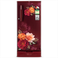 LG 185 L Direct Cool Single Door 2 Star Refrigerator with Base Drawer(Ruby Klase, GLD1925XORK)