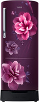 Samsung 223 L Direct Cool Single Door 3 Star Refrigerator(Camellia Purple, RR24C2823CR/NL)