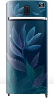 SAMSUNG 215 L Direct Cool Single Door 4 Star Refrigerator  with Digi-Touch Cool,Digital Inverter(Paradise Blue, RR23C2E249U/HL) (Samsung)  Buy Online
