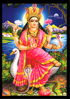Deshkart MATA MANASA DEVI (5 INCH X 7 INCH) LAMINATED PHOTO WITH BACK SUPPORT MOUNT Religious Frame