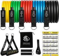 PRO365 Premium Resistance Bands with Door Anchor/ Foam Handles/ Bag and Ankle Straps Resistance Tube(Red, Yellow, Black, Blue, Green)