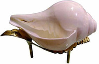 HVS Shankh natural 100% Pooja purpose men and women Blowing Shankh(White)
