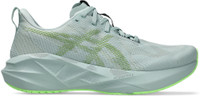 Asics NOVABLAST 5 Running Shoes For Men(Green , 11)