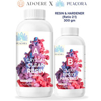 Adoere X Peacora Epoxy Resin Art High Intensity Premium Resin and Hardener Kit - 300g