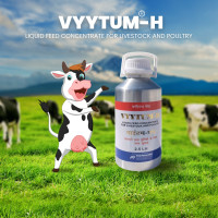 VYYTUM H Veterinary Vitamin H For Cow| Cattles | Poultry | Livestock Animals - 2.5 Litre Pet Health Supplements(2500 ml)