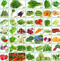 Aero Seeds 45 Varieties 3500+ seeds(Organic/Hybrid) Fruits & Vegetables Seeds. Seed(4000 per packet)