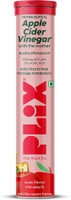 The Plant Fix Plix Apple Cider Vinegar Effervescent Tablet with mother,Vit B6 & B12 for weight loss(15 No)