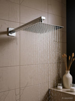 Prestige Stainless Steel 6"x6" Ultra Slim Shower with 12inch square arm Shower Head