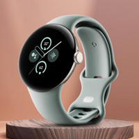 Google Watch 2 Smartwatch(Hazel Active Strap, Free Size)