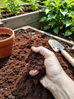 dhorganic 10kg Cocopeat Powder High Water Retention Soil Conditioner for Gardening Husk, Potting Mixture, Fertilizer(10 kg, Powder)