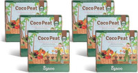 UGAOO Cocopeat Block for Home Garden Plants Potting Mixture(6 kg, Cake)