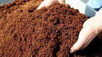 LiberalStudios Cocopeat Powder Fertilizer(1 kg, Powder)