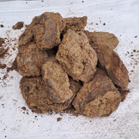 Plantsab Cow Dung 1.005kg Gobar ke Uple Manure, Potting Mixture, Soil(1 ...