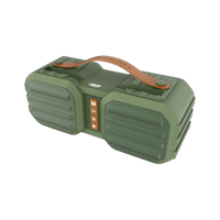 ZEBRONICS Sound Feast 50, Pendrive Slot, mSD Card, Call Function 14 W Bluetooth Speaker(Green, Brown, Mono Channel)