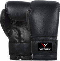 VICTORY Boxing Glov