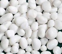 HH ENTERPRISES Regular Asymmetrical Rock Pebbles (Multicolor 5 kg) Polished Round Marble Pebbles(White 5 kg)