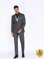 PARK AVENUE 2 PC Suit Self Design Men Suit
